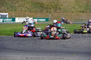 DSC_ (1231)